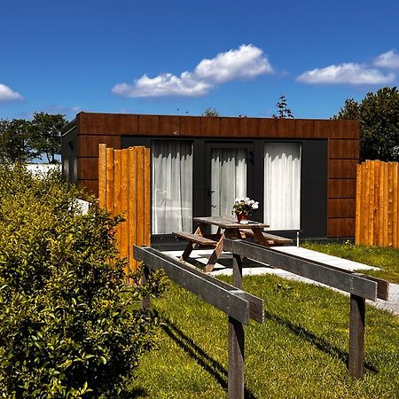 B&B Prive Tiny House Bij Zee 斯泰伦丹 外观 照片