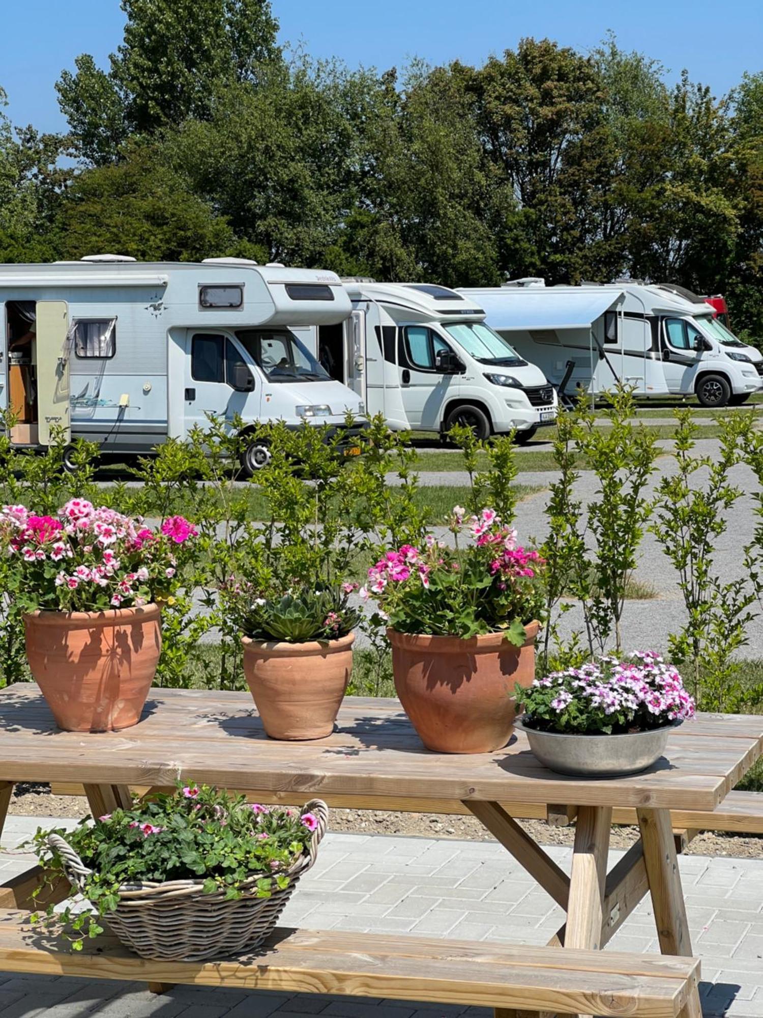 B&B Prive Tiny House Bij Zee 斯泰伦丹 外观 照片