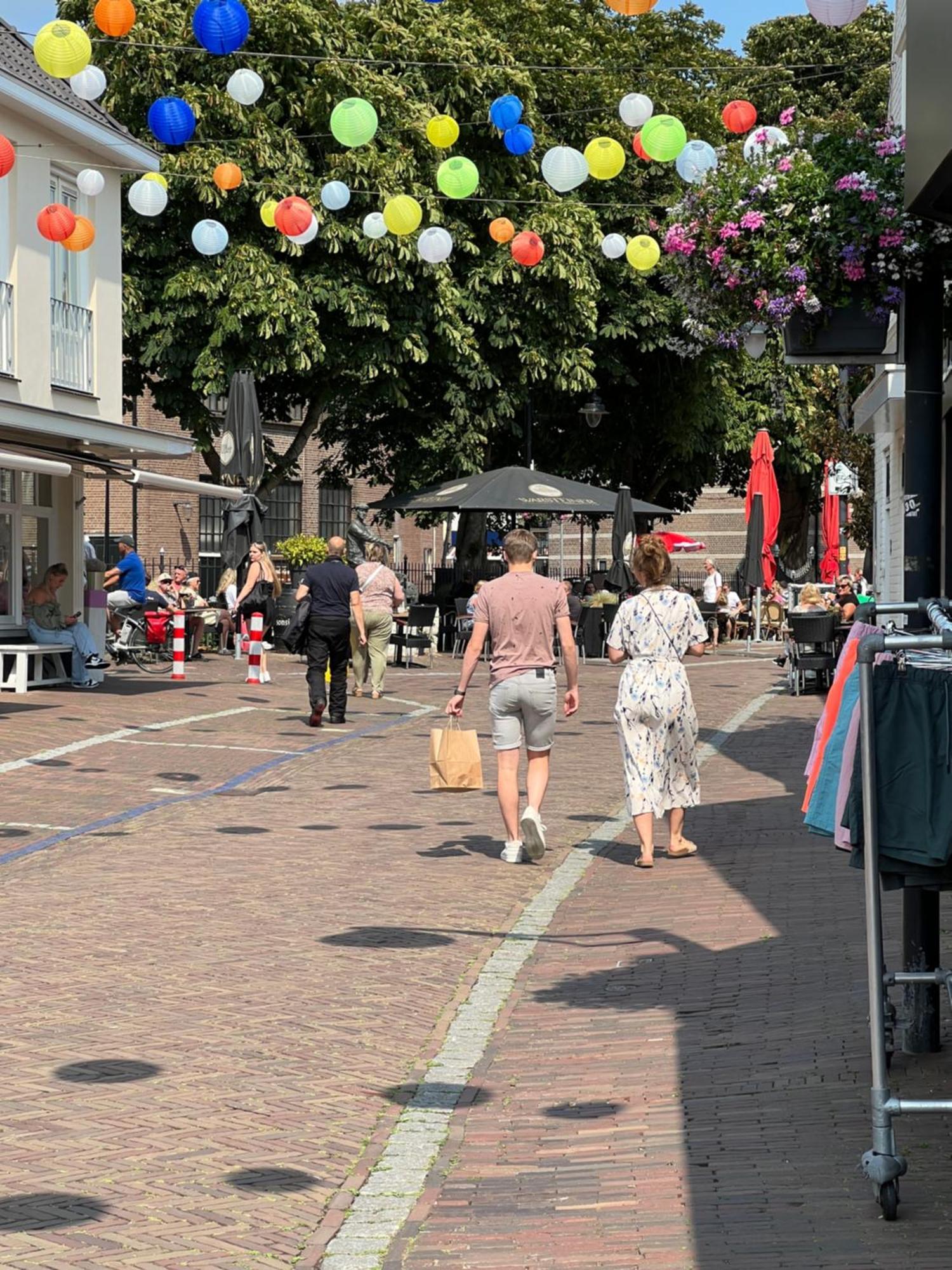 B&B Prive Tiny House Bij Zee 斯泰伦丹 外观 照片